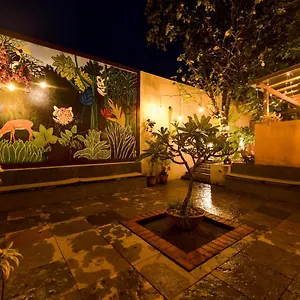 book here